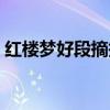 红楼梦好段摘抄原文（红楼梦好段摘抄大全）