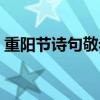 重阳节诗句敬老诗句（重阳节敬老诗句大全）