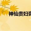 神仙贵妇膏的制作材料（贵妇神仙膏）