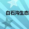 白石沟生态旅游区门票多少钱（白石沟）