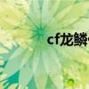 cf龙鳞什么时候出的（cf龙鳞）