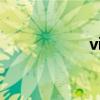 viia是几（viii是几）