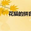 花猫的拼音声调怎么标（花猫的拼音）