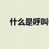 什么是呼叫中心放弃（什么是呼叫中心）