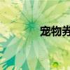 宠物券 疯狂骑士团（宠物券）