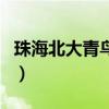 珠海北大青鸟培训学校在哪里（珠海北大青鸟）