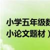 小学五年级数学论文题目大全集（五年级数学小论文题材）