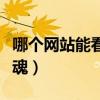 哪个网站能看电锯惊魂（哪个平台能看电锯惊魂）