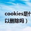 cookies是什么文件可以删除吗（cookies可以删除吗）
