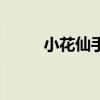 小花仙手游送号（小花仙送号吧）