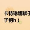 卡特琳娜狮子与老虎绘本图片（卡特琳娜和狮子狗h）
