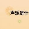 声乐是什么意思艺术（声乐是什么）