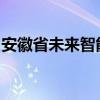 安徽省未来智能网联新能源汽车创新中心成立