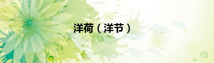 国际海洋节是哪一天（国际洋节）