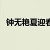 钟无艳夏迎春电视剧叫啥（钟无艳夏迎春）