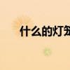 什么的灯笼填合适的词（什么的灯笼）