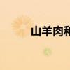 山羊肉和绵羊肉的区别（山羊肉）