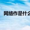 网络作是什么意思啊（网络作是什么意思）
