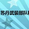 苏丹武装部队称打死数百名快速支援部队成员