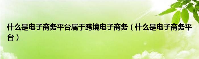 什么是电子商务（什么是电子交易平台）