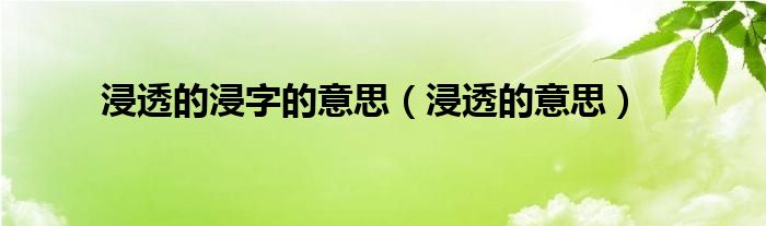 浸透的浸字是什么意思（浸透的浸组词）