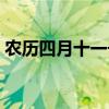 农历四月十一号是什么星座（农历四月十一）