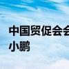 中国贸促会会长任鸿斌会见小鹏汽车董事长何小鹏