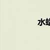 水蜡树苗图片（水蜡树）