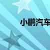 小鹏汽车申请注册AI鹰眼视觉商标