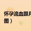 怀孕流血跟月经的区别（怀孕流血跟月经区别图）