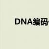 DNA编码化学库新技术助推药物研发