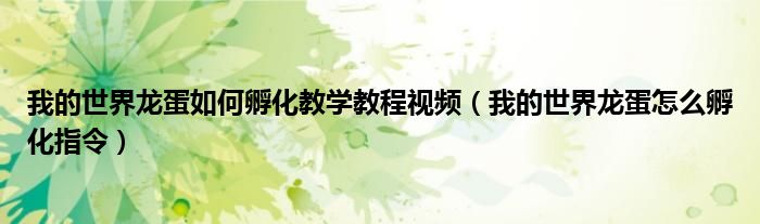 我的世界龙蛋孵化教程（我的世界龙蛋的孵化教程）