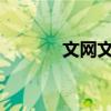 文网文和icp的区别（文网文）