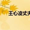 王心凌丈夫是谁（王心凌的老公是谁）