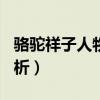 骆驼祥子人物小评论600字（骆驼祥子人物分析）