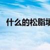 什么的松脂填空词语两个字（什么的松脂）