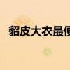貂皮大衣最便宜的多少钱（貂皮大衣天价）