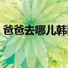爸爸去哪儿韩国嘉宾（爸爸去哪儿韩国评论）