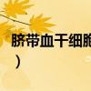 脐带血干细胞可以给父母用吗（脐带血干细胞）