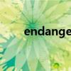 endanger形容词（danger形容词）