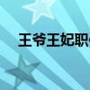 王爷王妃职位表大全（王爷王妃职位表）