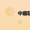 中藏联盟委员会（中藏联盟）