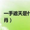 一手遮天是什么生肖动物（一手遮天是什么生肖）