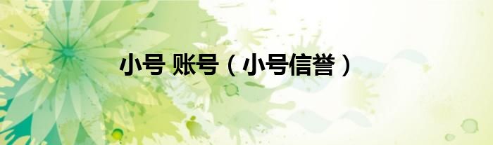 小号登录平台（小号平台是什么）