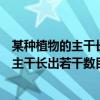 某种植物的主干长出若干数目的枝干详细讲解（某种植物的主干长出若干数目的枝干）