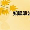 知呱呱公司值得入职吗（知呱呱）