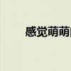 感觉萌萌的贾玲（贾玲萌萌哒歌曲）