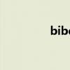 bibe是什么意思（bibe）