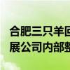 合肥三只羊回应被罚6894.91万元：将全面开展公司内部整顿