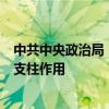 中共中央政治局：要支持经济大省挑大梁，更好发挥带动和支柱作用